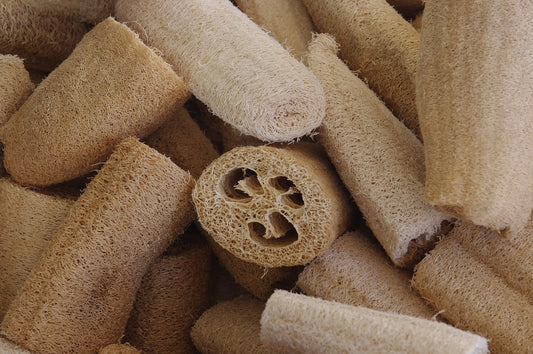 Plastik-Luffa vs. Natürlicher Luffa: Welcher Schwamm ist die bessere Wahl für deine Haut und die Umwelt?