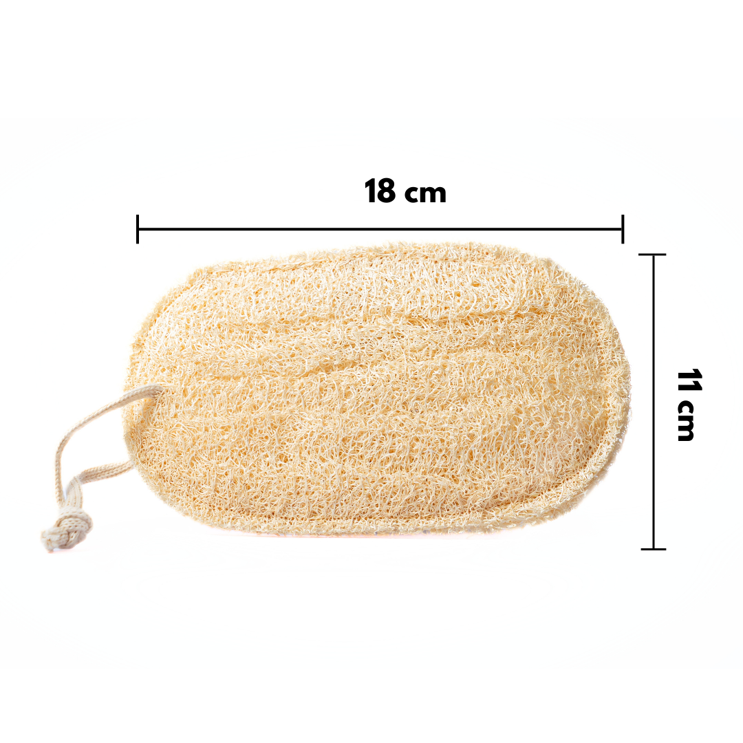 EcoClean - Loofah für den Haushalt - Luffa Schwamm