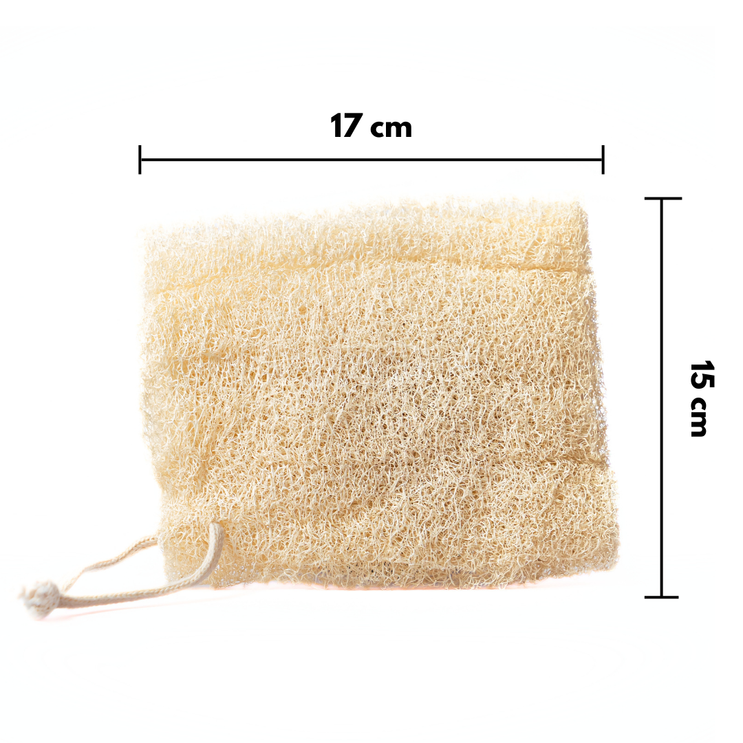 Loofah Eco Set - Luffa Schwamm