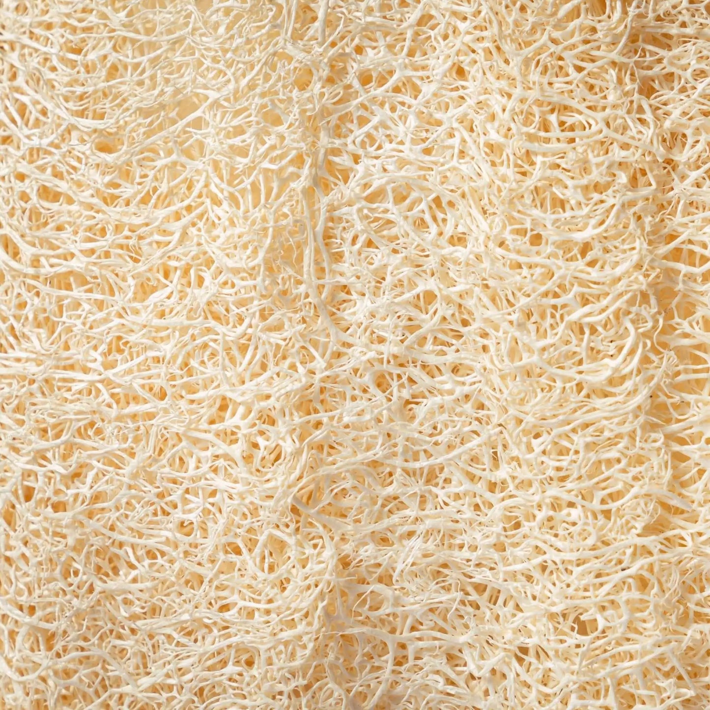Porta Sapone in Luffa – Confezione da 2 Spugne Naturali