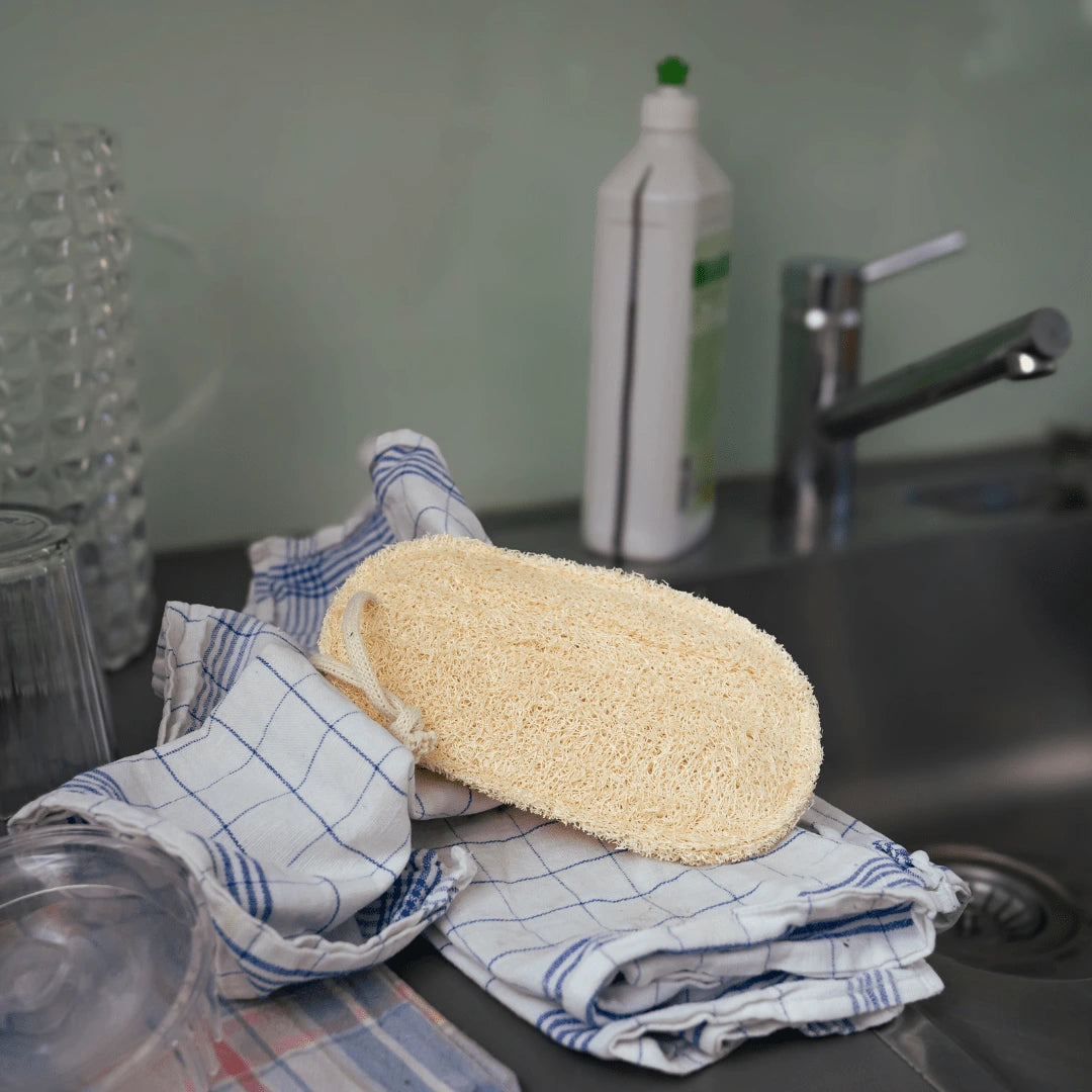 EcoClean - Loofah pour la maison - éponge luffa