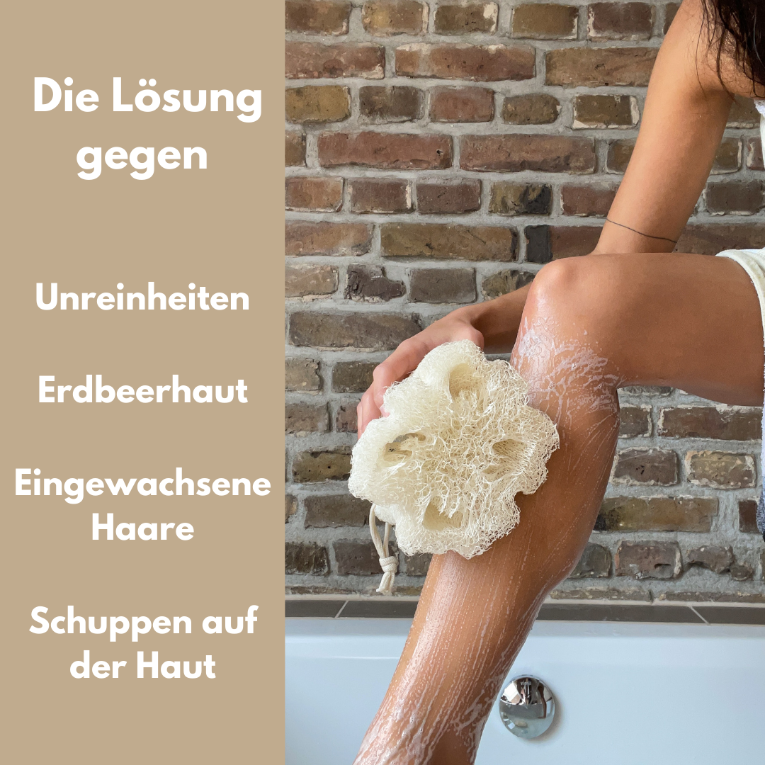 EcoClassic - Loofah - Luffa Schwamm