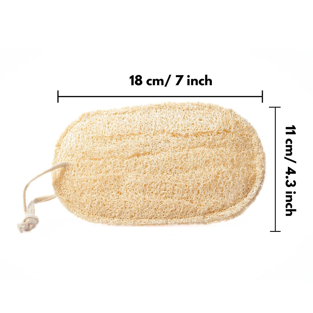 EcoClean - Loofah pour la maison - éponge luffa