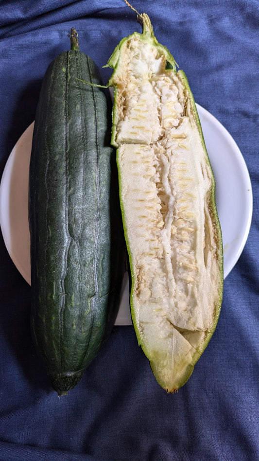 Kann man Luffas essen? Was du beachten musst + Rezeptideen