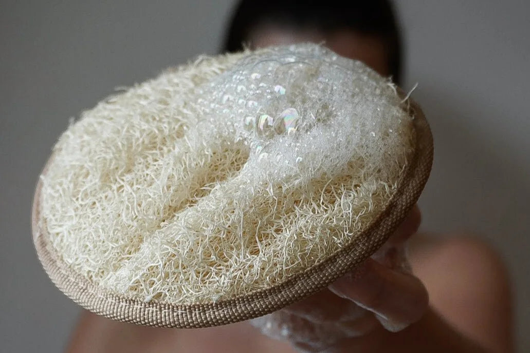 Loofahs sind natürliche Faserschwämme, die aus dem getrockneten Inneren der Luffa-Pflanze gewonnen werden | LoofahCrafts
